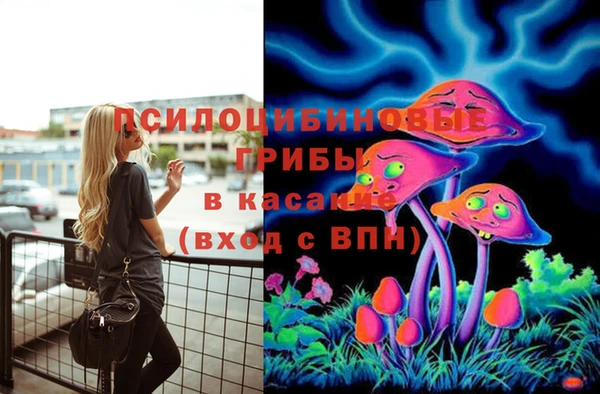 прущая мука Карталы