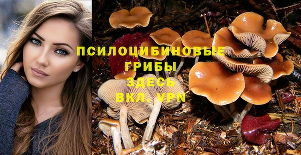 индика Козловка