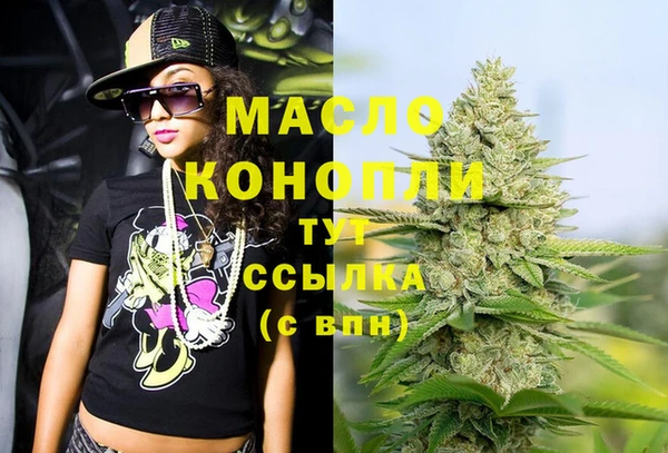 индика Козловка
