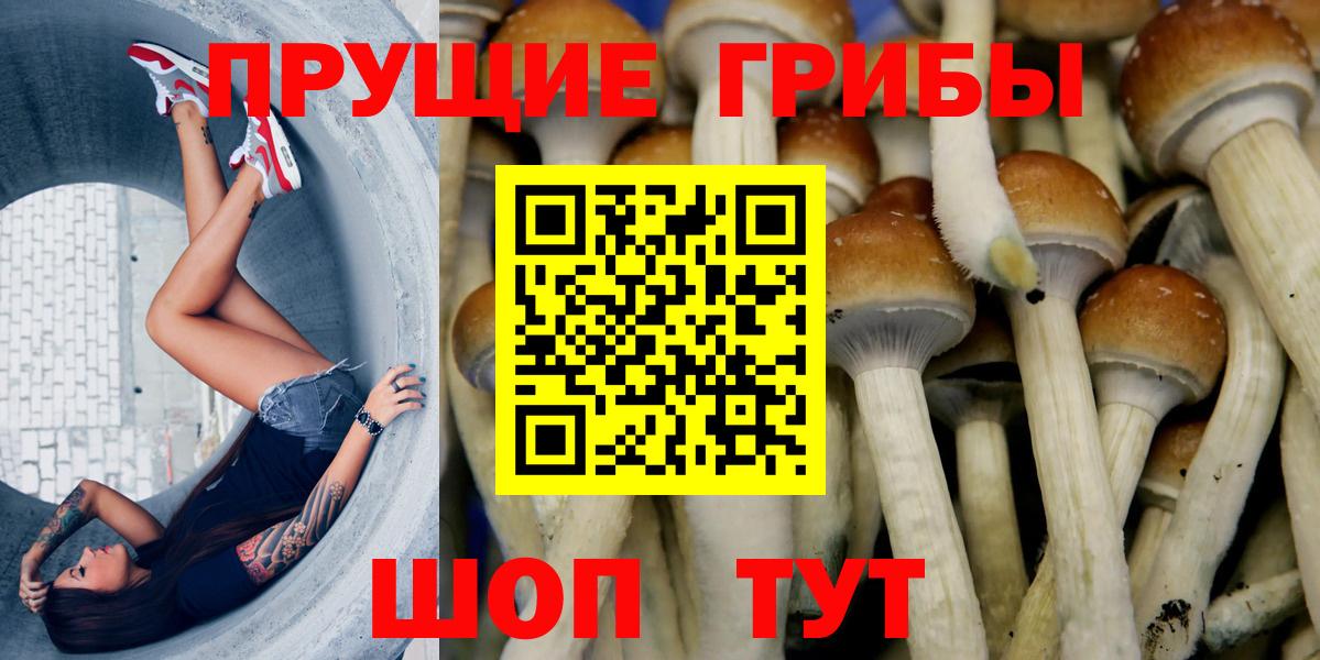 Мелеуз  Псилоцибиновые грибы мухоморы  Вход с VPN 