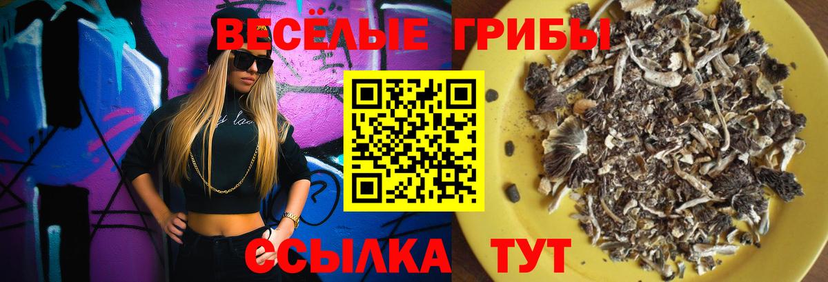 Псилоцибиновые грибы прущие грибы Мелеуз