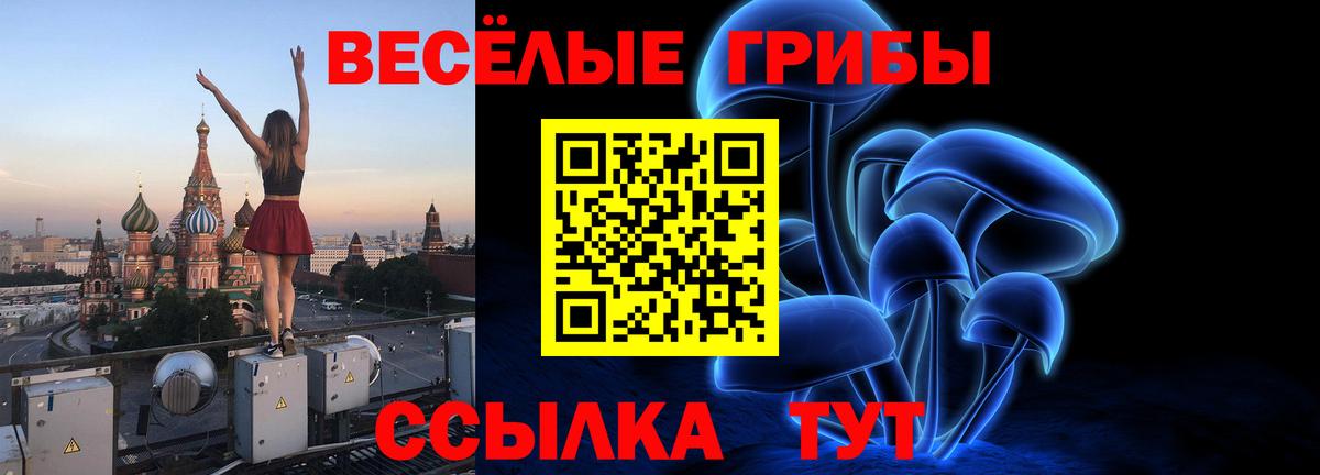 Галлюциногенные грибы Cubensis  Псилоцибиновые грибы Psilocybe  закладки  Мелеуз 